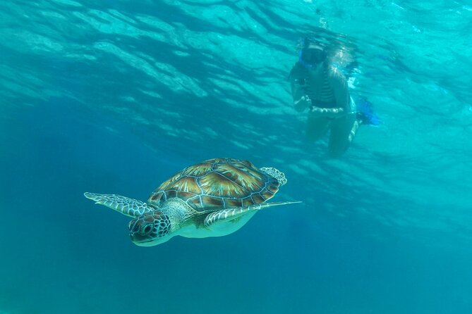 Half-Day Luxury Sailing Experience in Tulum with Open Bar - Lunch and the open bar