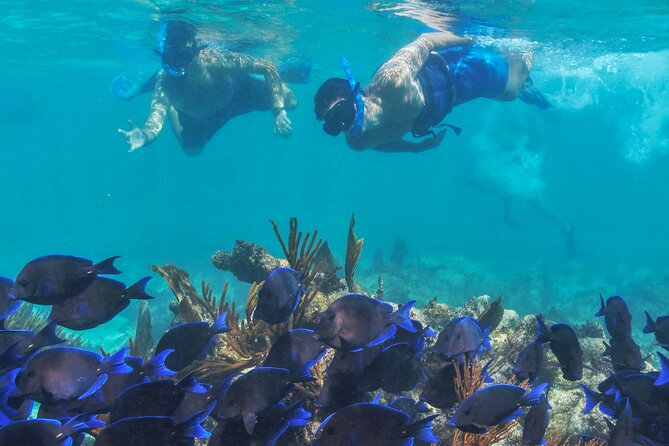 Half-Day Luxury Sailing Experience in Tulum with Open Bar - The service makes the biggest difference