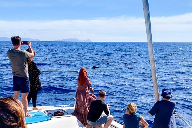 Half Day Tour on a Luxury Catamaran on Madeira Island - Who will enjoy this Madeira boat trip?