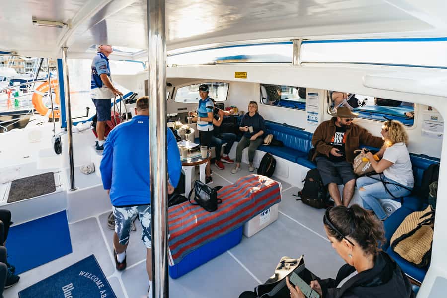 Hervey Bay: Exclusive Whale Watch Encounter - Watching whales beside a small boat