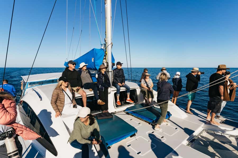 Hervey Bay: Exclusive Whale Watch Encounter - Listening to whales with the hydrophone