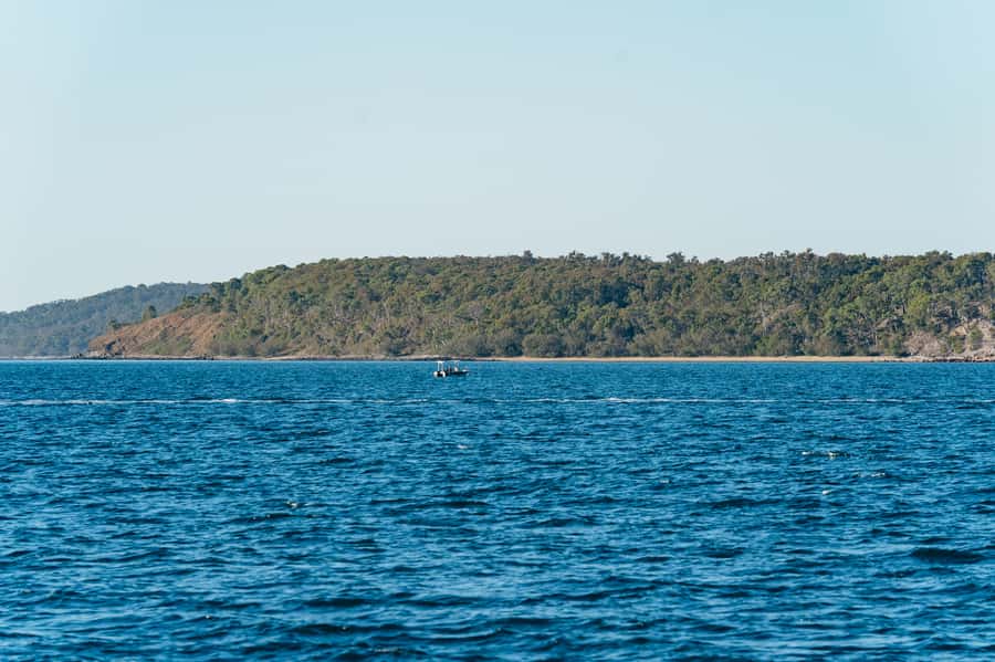 Hervey Bay: Exclusive Whale Watch Encounter - The exclusive in-water platform