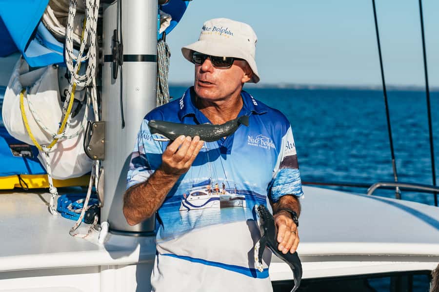 Hervey Bay: Exclusive Whale Watch Encounter - Food, shade, and the small comforts