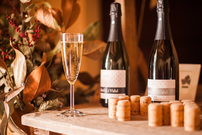 High-End Vineyard Escape: Cava, Tapas & Wine | Private Tour - The Catalan food on your plate