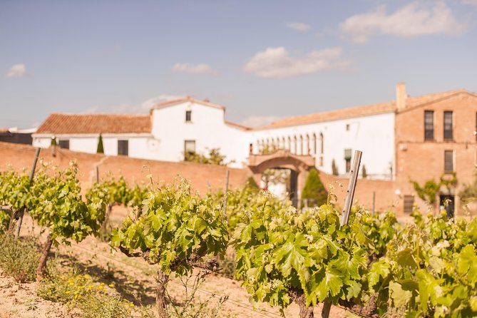 High-End Vineyard Escape: Cava, Tapas & Wine | Private Tour - Who should book this experience?