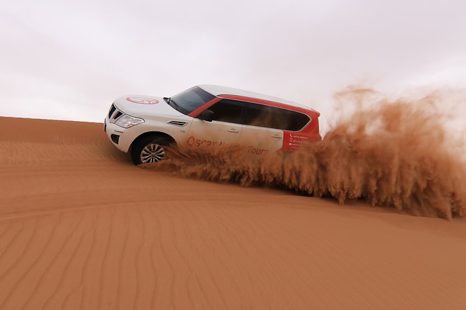 High Red Dunes with Camel Ride, Sandboarding, Falcon Show and VIP BBQ Dinner - Why the red dunes make this safari different