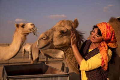 High Red Dunes with Camel Ride, Sandboarding, Falcon Show and VIP BBQ Dinner