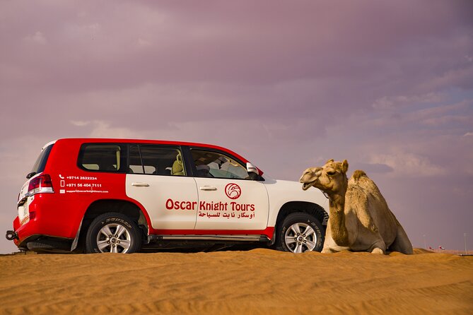 High Red Dunes with Camel Ride, Sandboarding, Falcon Show and VIP BBQ Dinner - Falconry and the limits of the seasonal program