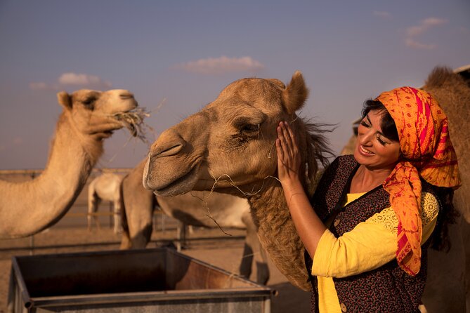 High Red Dunes with Camel Ride, Sandboarding, Falcon Show and VIP BBQ Dinner - Hotel pickup and the wait before the action