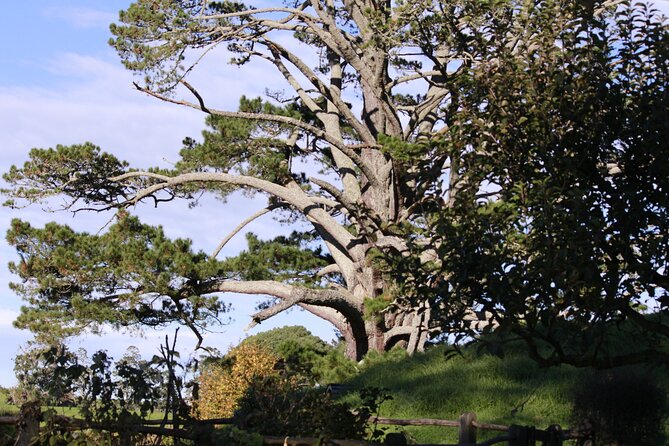 Hobbiton Afternoon Tour in Luxury Minibus from Auckland - The Green Dragon Inn finale