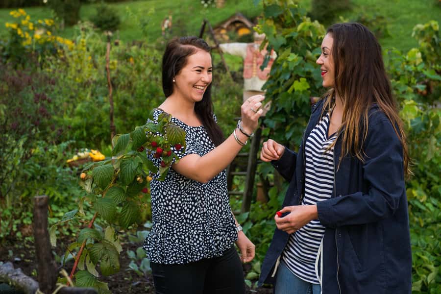 Hobbiton Movie Set & Rotorua Premium Day Tour from Auckland - Should you book Hobbiton and Rotorua together?