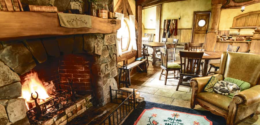 Hobbiton Movie Set & Rotorua Premium Day Tour from Auckland - Kiwi birds and Māori arts at Te Puia
