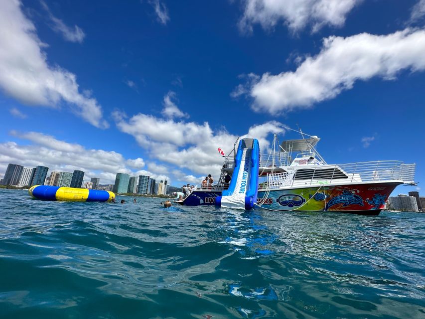 Honolulu: Deluxe Waikiki Snorkel and Wildlife Cruise - Key points to know before booking