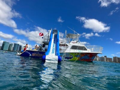 Honolulu: Deluxe Waikiki Snorkel and Wildlife Cruise