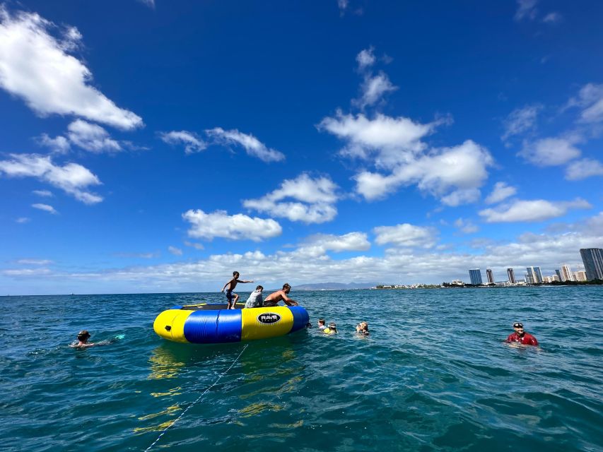 Honolulu: Deluxe Waikiki Snorkel and Wildlife Cruise - Wildlife expectations from December through April
