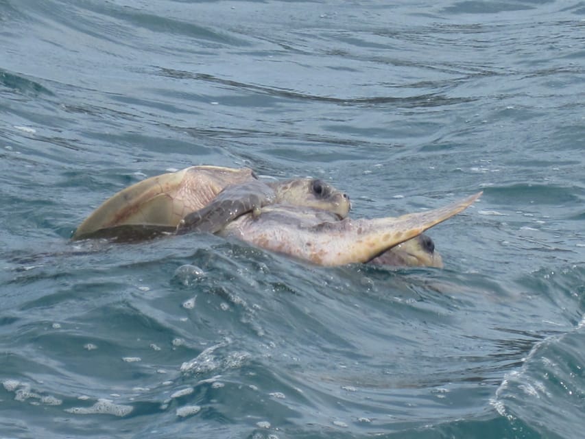 Huatulco: Premium Boat Tour with snorkel experience. - Who will enjoy this Huatulco boat tour?