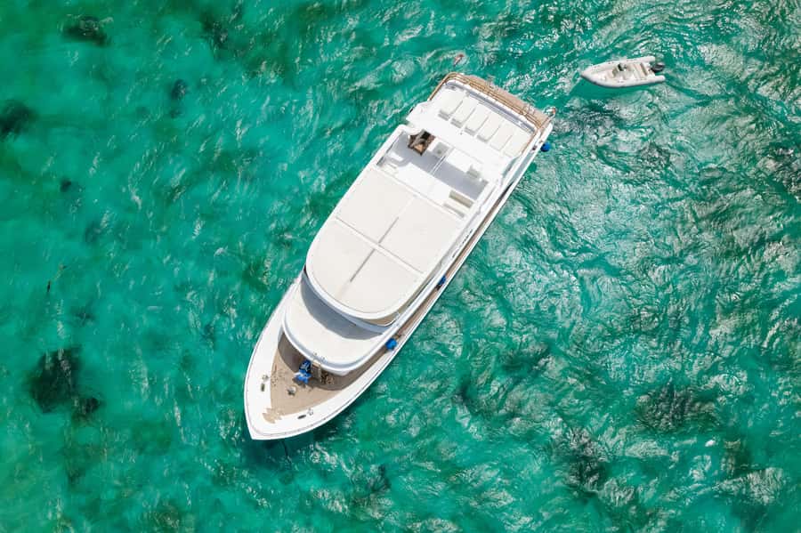 Hurghada: All-Inclusive Elite VIP Dolphin House & Massage - Who will enjoy this Hurghada boat trip?