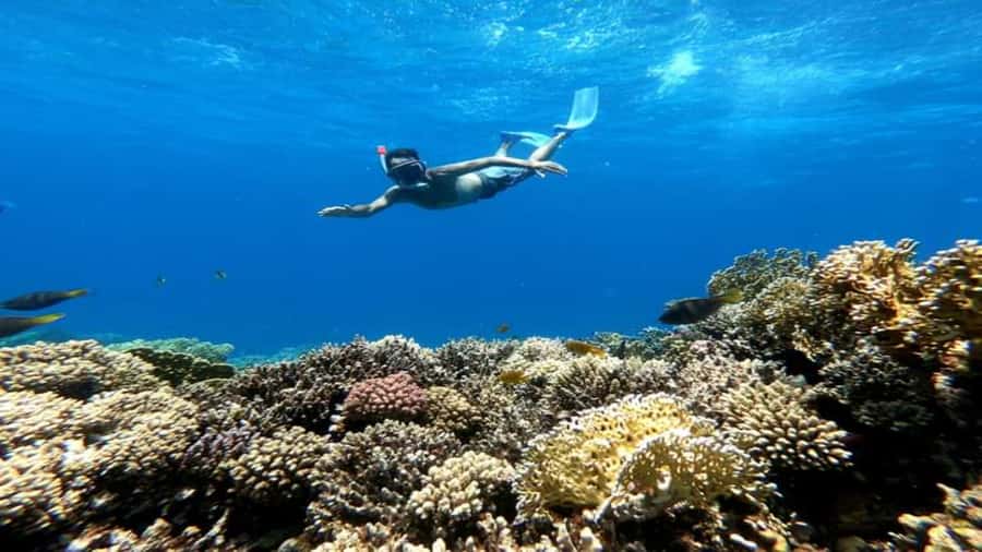 Hurghada: Luxury Cruise Trip to Orange Bay with Lunch - Banana boat, free time, and the ride home
