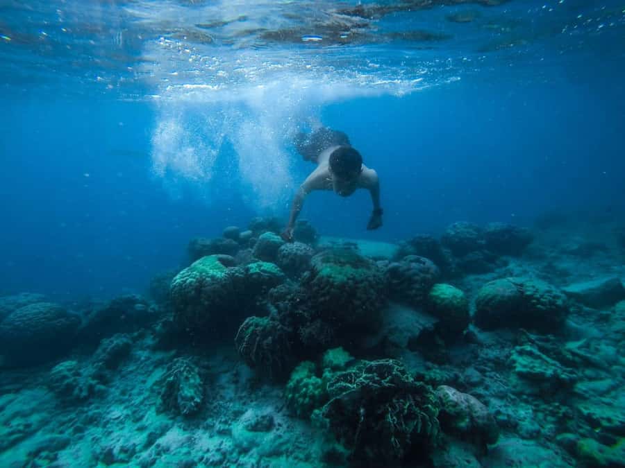 Hurghada:Luxury Diving & Snorkeling inc/Island/Lunch/Massage - Hotel Pickup and the 45-Minute Cruise
