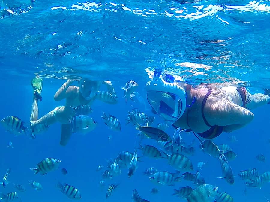 Hurghada: Luxury Giftun island w/snorkeling/lunch & Massage - An early start from Hurghada and the surrounding resorts