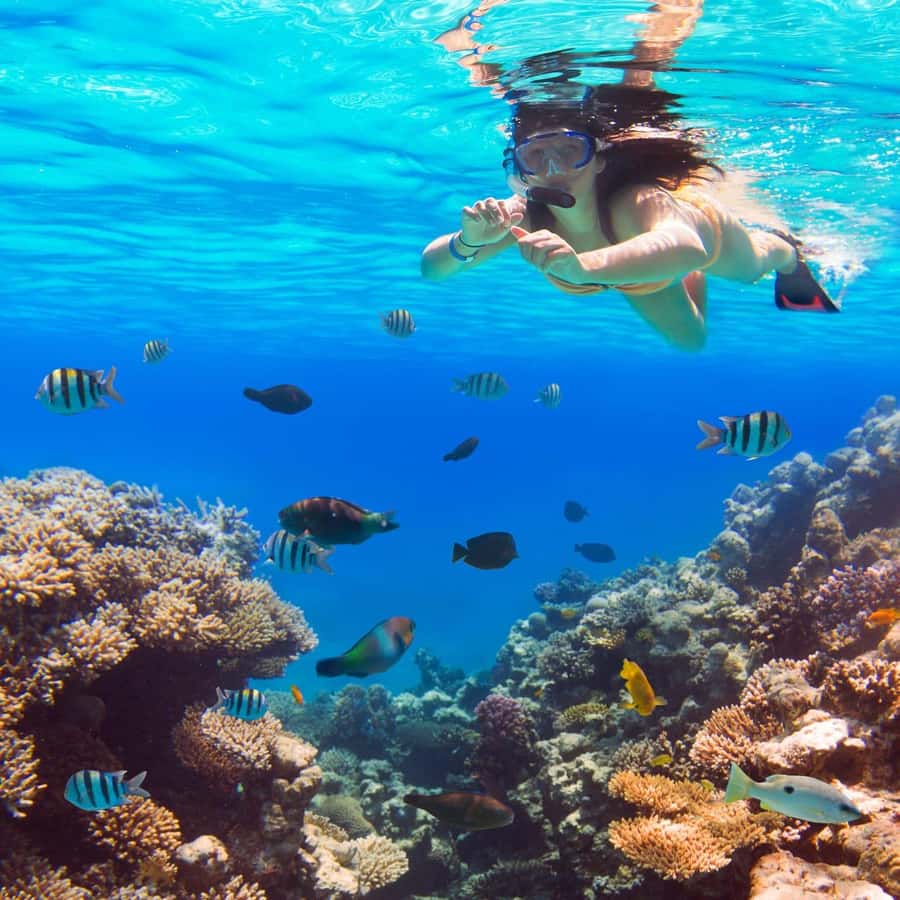 Hurghada: Luxury Giftun island w/snorkeling/lunch & Massage - Massage on the upper deck, with an important privacy note