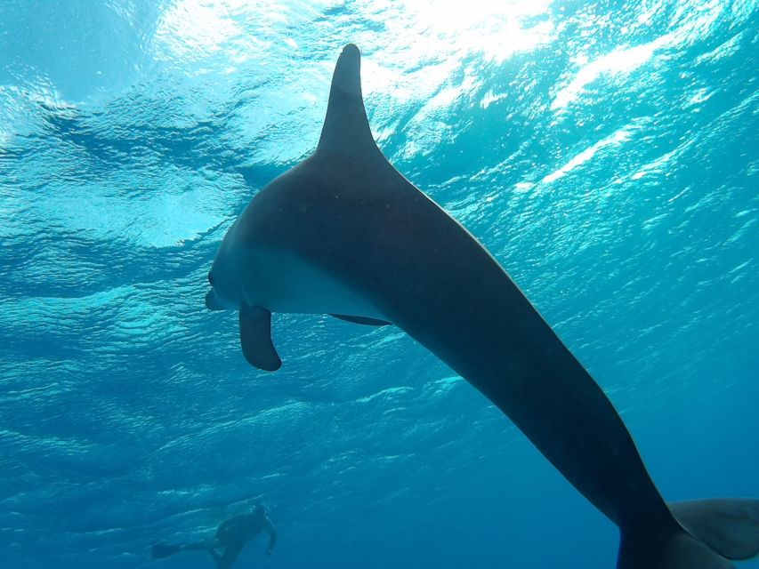 Hurghada: Luxury Orange Bay w/Snorkeling, Massage and Diving - Orange Bay before the main rush