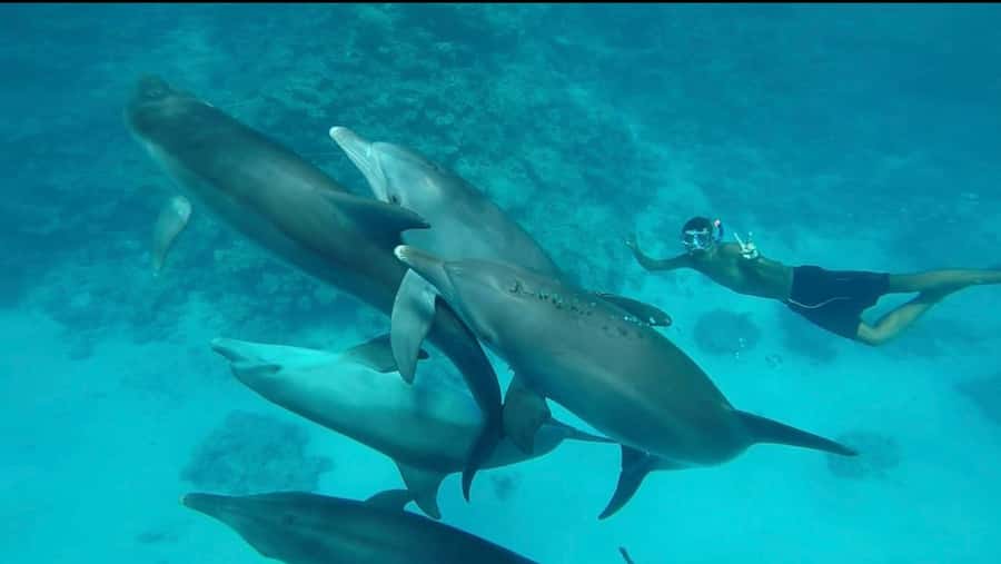 Hurghada: Luxury Yacht Trip with Personal Crew and Chef - Lunch from the onboard chef