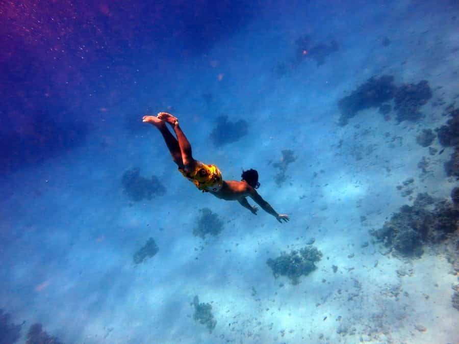 Hurghada: Premium Island Cruise with Lunch and snorkeling - A full Red Sea day for $31