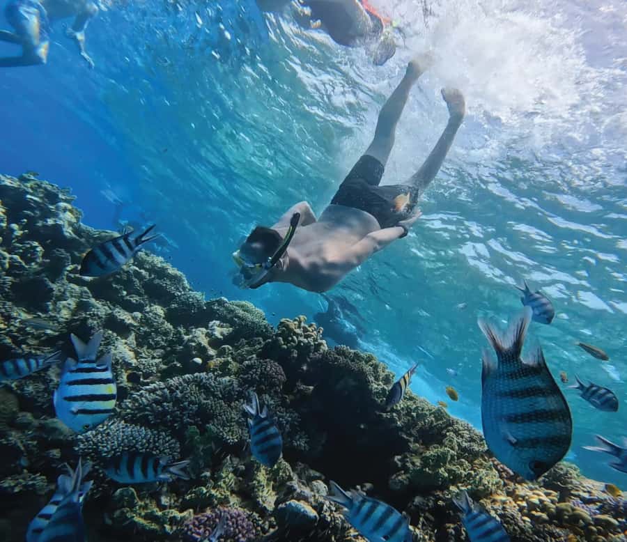 Hurghada: Premium Orange Island Cruise with Lunch & Transfer - Orange Bay gives the day its postcard moment
