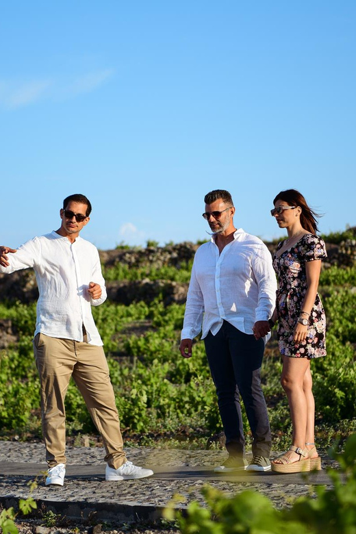 Imerovigli: Premium Wine Tasting with Caldera and Sea Views - Guides Chris and Yiannis shape the experience