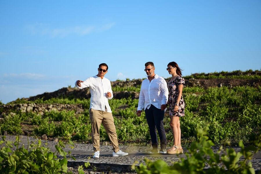 Imerovigli: Premium Wine Tasting with Caldera and Sea Views - Stay for sunset, dinner, or another bottle