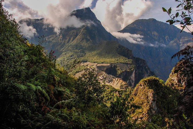 Inca Jungle Premium to Machu Picchu 4-Day and 3-Nights - Day four: entering Machu Picchu before the return train