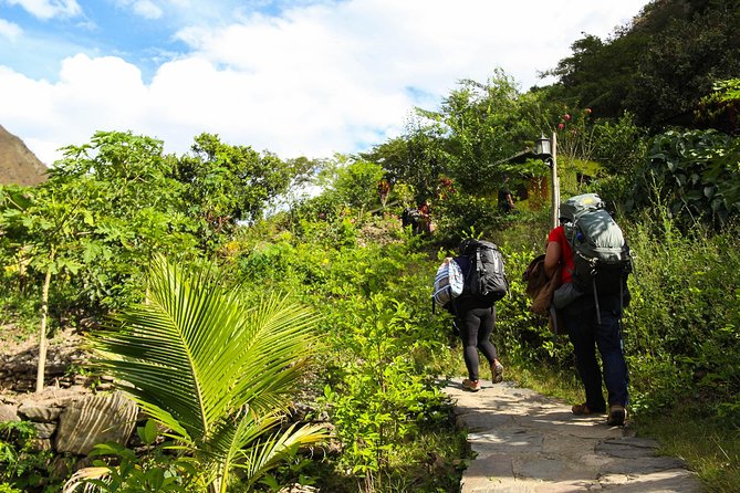 Inca Jungle Premium to Machu Picchu 4-Day and 3-Nights - Who will get the most from this $550 trip