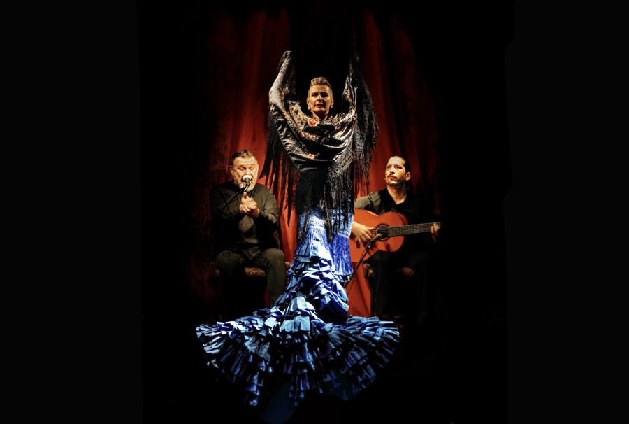 Intimate Authentic Flamenco Show in Barcelona at Casa Sors - The Guitar Museum Adds More Than a Few Display Cases