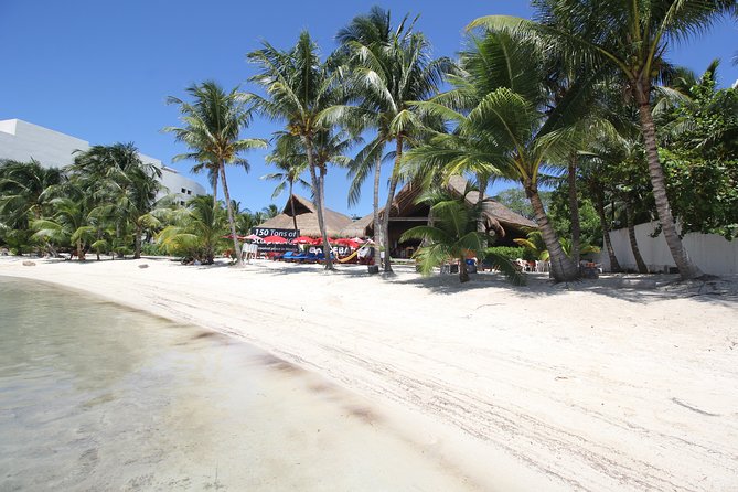 Isla Mujeres luxury catamaran with premium open bar and lunch - Who will get the most from this tour
