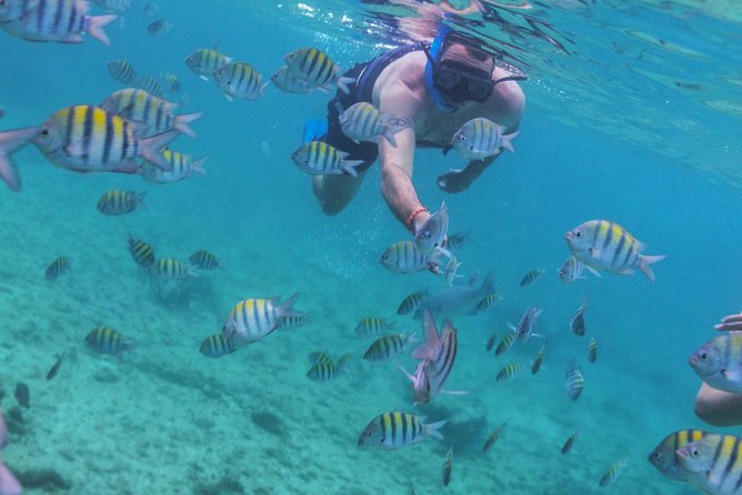 Isla Mujeres Luxury Sailing: Adults Only or Family Friendly - Isla Mujeres gives you free time, but not solitude