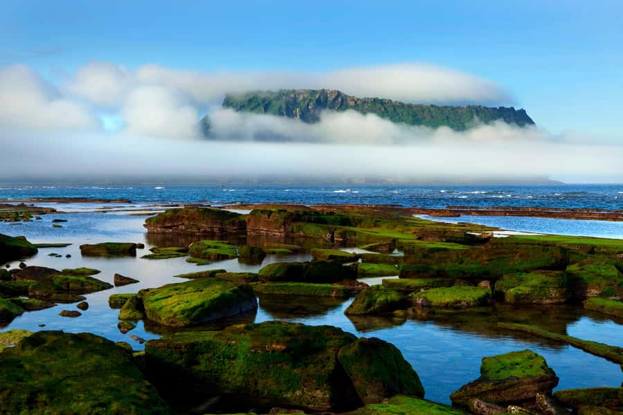 Jeju Premium Small Group UNESCO Day Tour - East - Woljeongri Beach starts the morning