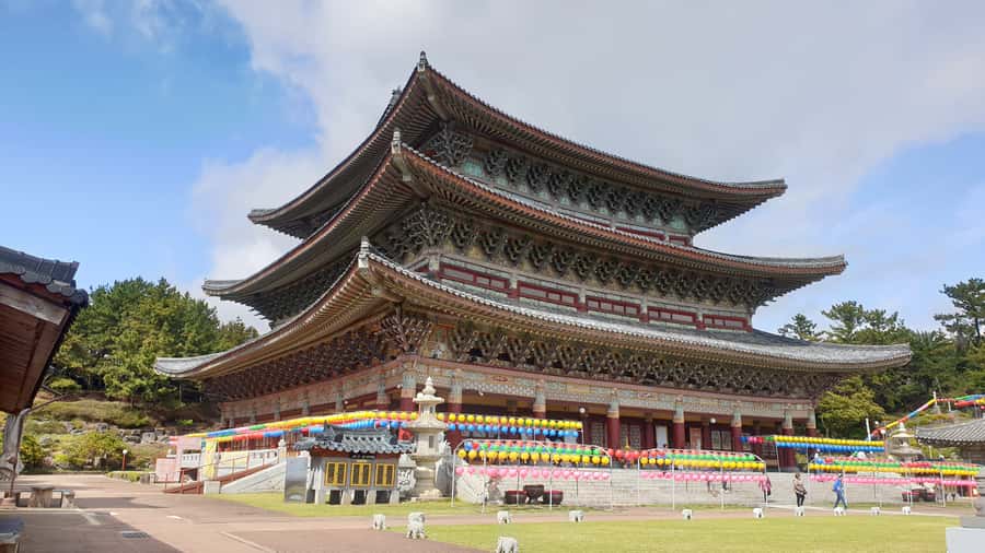 Jeju Premium Small Group UNESCO Day Tour - South - Who Should Book It?