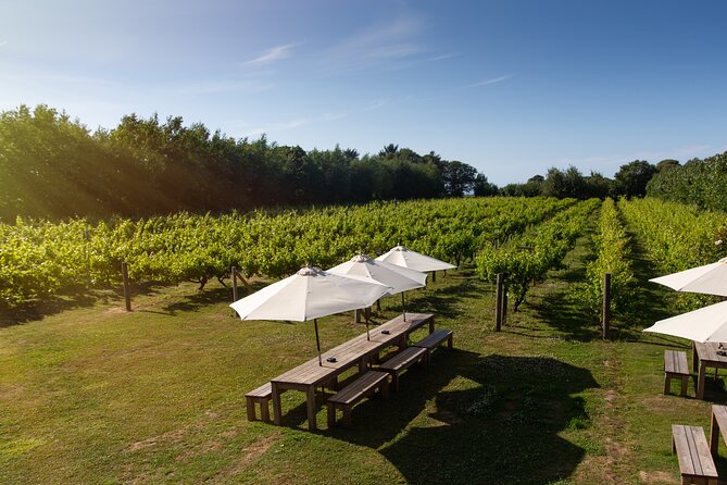Jersey Premium Vineyard and Distillery Wine Tour and Tasting - Inside the authentic Cognac-style distillery