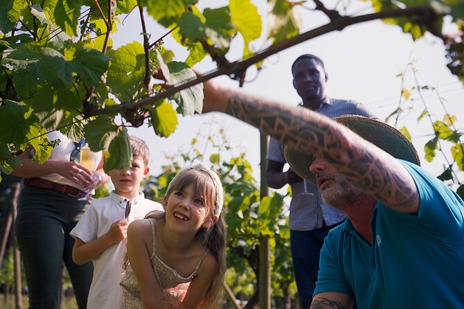 Jersey Premium Vineyard and Distillery Wine Tour and Tasting - Is $32.98 good value for one hour?