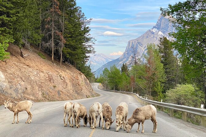 Johnston Canyon, Lake Louise & Banff: Small-Group Day Tour - The guide can shape the whole day