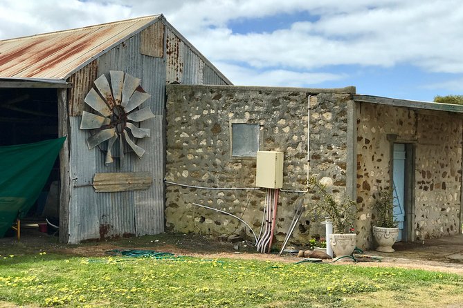 Kangaroo Island Luxury Small Group 'Island Life' Full Day Tour - Seal Bay is the main wildlife highlight