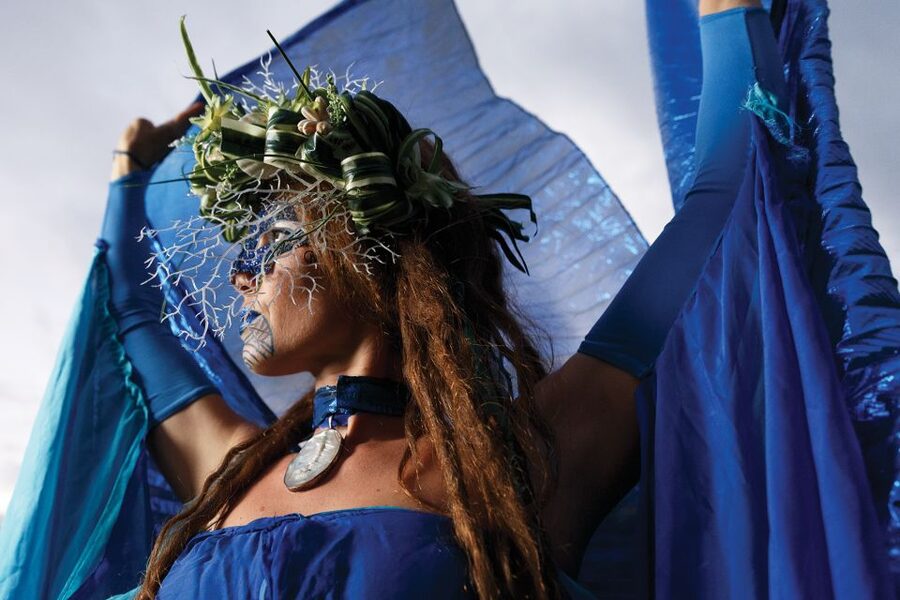 Kauai: VIP Manor House Dinner & Luau Kalamaku Show - Should you book the VIP Kalamaku package?