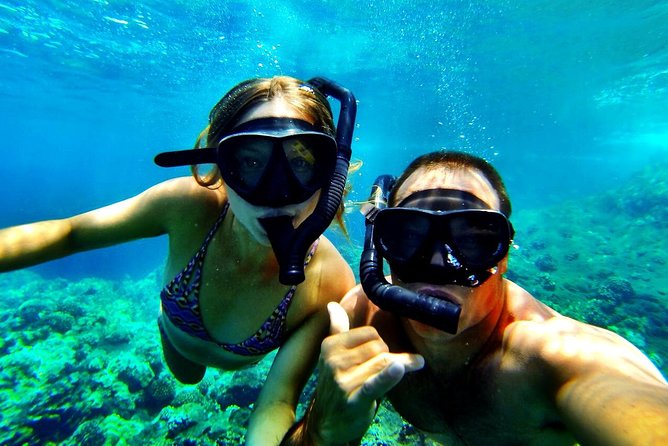 Kealakekua Bay Captain Cook Snorkel Exclusive - Starting at Sea Quest Hawaii in Kailua-Kona