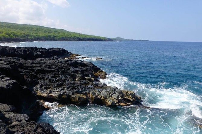 Kealakekua Bay Captain Cook Snorkel Exclusive - Wildlife sightings: wonderful, but never promised