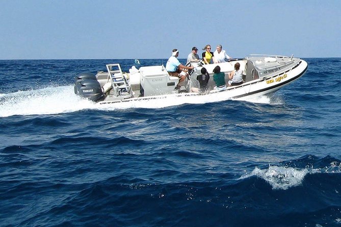 Kealakekua Bay Captain Cook Snorkel Exclusive - Is $124.87 a fair price?