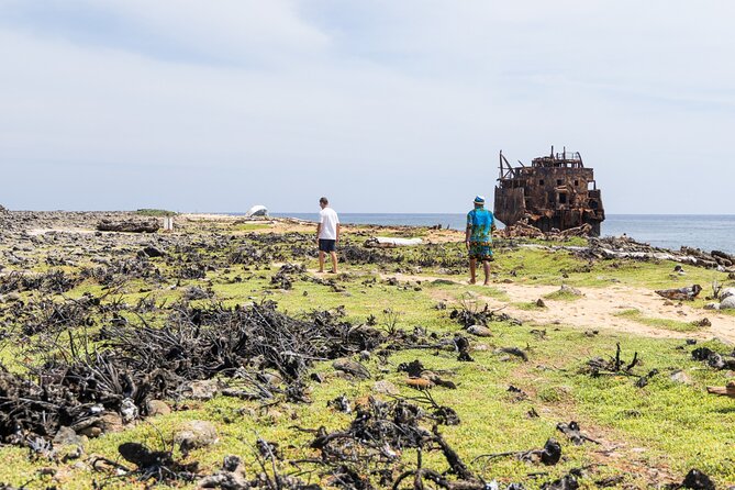Klein Curacao Day Trip with Premium Open Bar and BBQ-Lunch - Snorkeling with fish, turtles, and realistic expectations