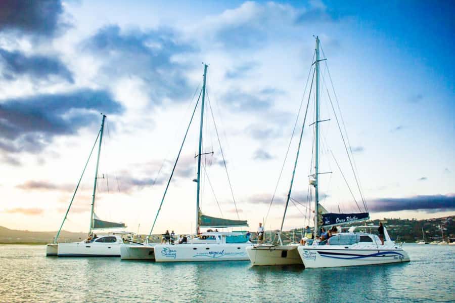 Knysna: Luxury Catamaran Marine Adventure Tour - Key things to know before sailing