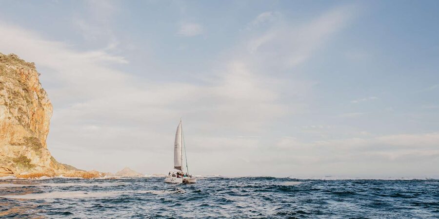 Knysna: Luxury Catamaran Marine Adventure Tour - Is $84 a fair price?