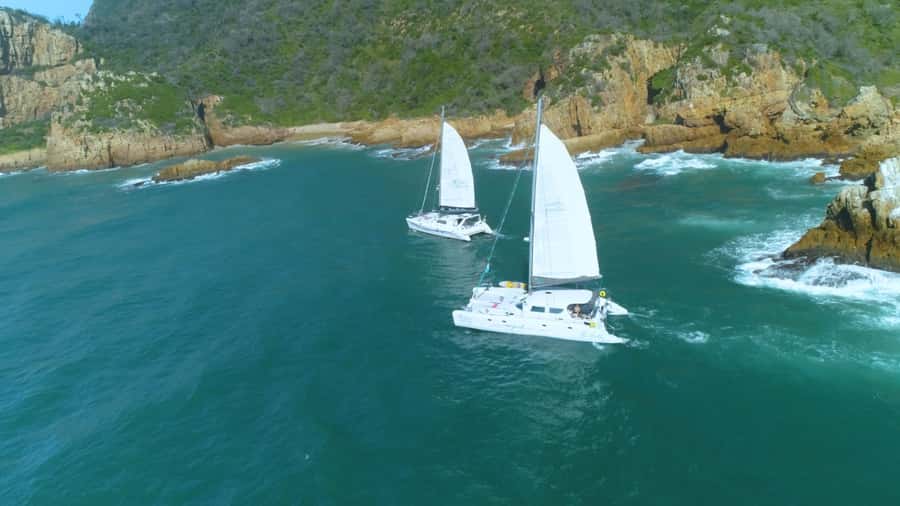 Knysna: Luxury Sunset Cruise with Captain's Barbeque - Is $111 a fair price?